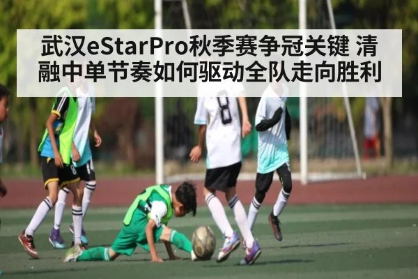 武汉eStarPro秋季赛争冠关键 清融中单节奏如何驱动全队走向胜利 | NG28